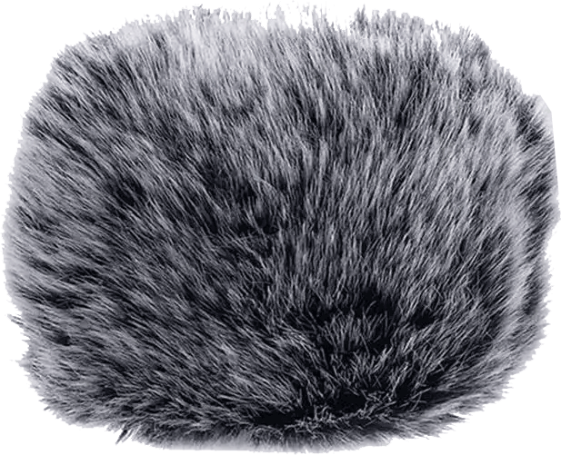 Wind Muff For Better Clarity Of Recording