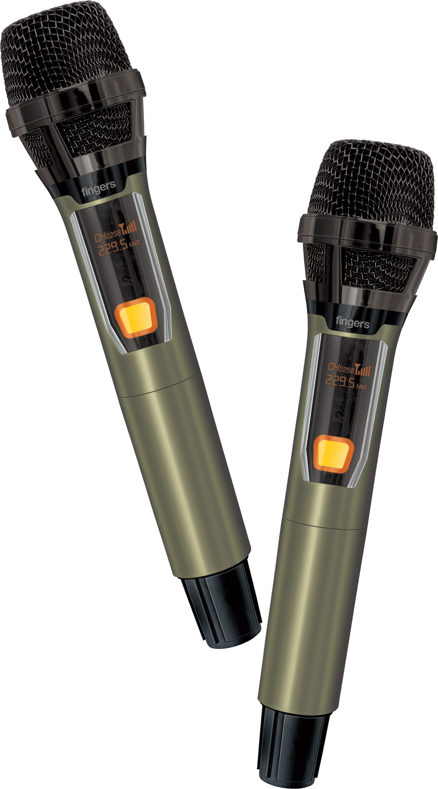 Two Wireless Mic