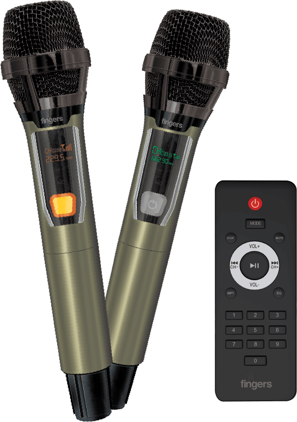 Two V band mics with remote